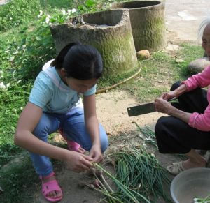 A young rural girl helping her grandmother with preparing spring onions