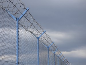 Fence with barbed wire