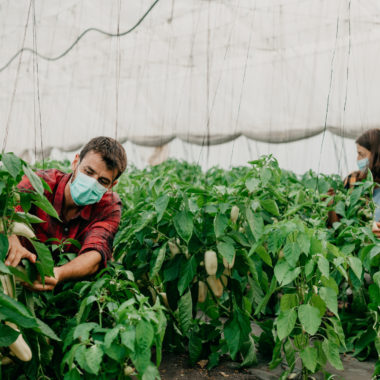 Agricultural workers during COVID19