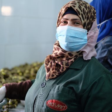 Woman refugee in pickle factory, Jordan